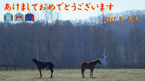 謹賀新年2017・冬の新和育成場