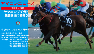 ヤマニンプチガトー繁殖入り