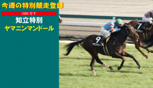 今週の特別競走登録・ヤマニンマンドール
