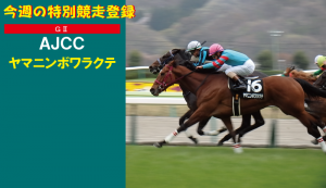 今週の特別競走登録・ヤマニンボワラクテ