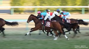 AJCC・ヤマニンボワラクテの1周目