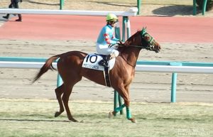 ヤマニンリュネビルと柴田善騎手