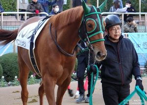 ヤマニンリュネビル