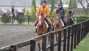 育成時代のヤマニンベルペーヌ