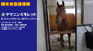 競走馬登録・ヤマニンミモレット