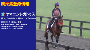 競走馬登録・ヤマニンレガトゥス
