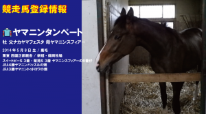 競走馬登録・ヤマニンタンペート