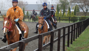 育成時代のヤマニンミモレット