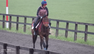 育成時代のヤマニンレガトゥス