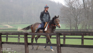 育成時代のヤマニンタンペート