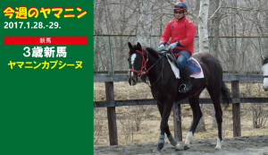 今週のヤマニン･ヤマニンカプシーヌ