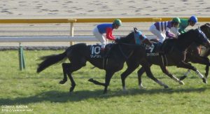 箱根特別のリノリオと丸田騎手(１週目)