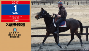2017年1勝目・ヤマニンアンプリメ
