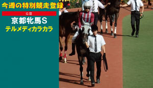 今週の特別競走登録・テルメディカラカラ