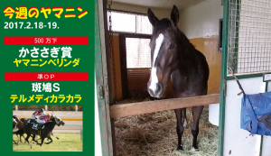 今週のヤマニン・ヤマニンベリンダとテルメディカラカラ