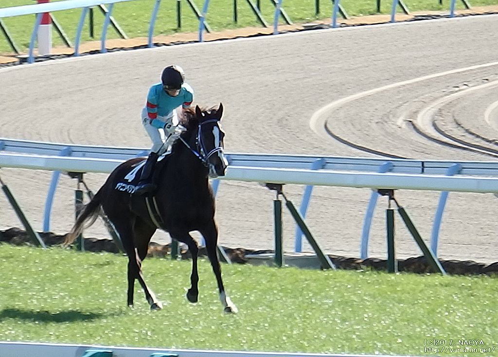 かささぎ賞･ヤマニンベリンダのレース後