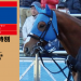 2017年2勝目・ヤマニンリュウセイ