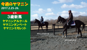 今週のヤマニン・ヤマニンアルクールとヤマニンタンペート