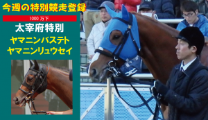 今週の特別競走登録・ヤマニンリュウセイとヤマニンバステト