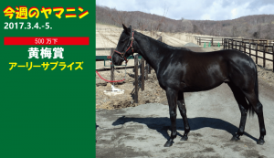 今週のヤマニン・アーリーサプライズ