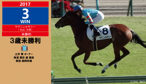 2017年3勝目・ヤマニンルサリー