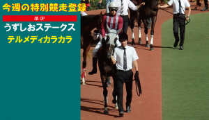 今週の特別競走登録・テルメディカラカラ
