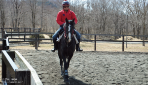 育成時代のヤマニンアドルフォ
