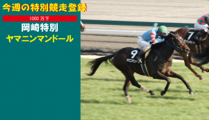 今週の特別競走登録・ヤマニンマンドール