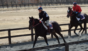 育成時代のヤマニンシレーナ