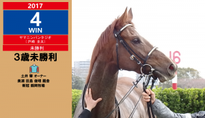 2017年4勝目・ヤマニンバンタジオ