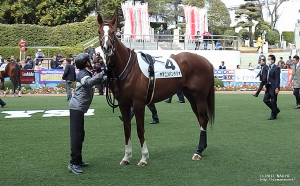 パドックのヤマニンバンタジオ