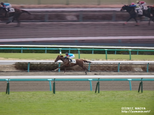 ゴール目前のヤマニンバンタジオ