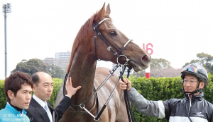 ウイナーズサークルのヤマニンバンタジオ