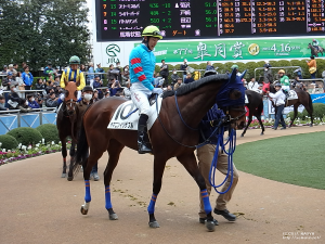 パドックのヤマニンイリザブル