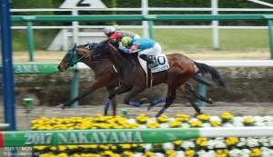 ゴール前のヤマニンイリザブル