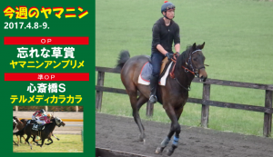 今週のヤマニン・アンプリメとテルメディカラカラ