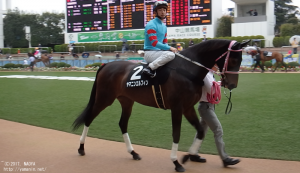 ヤマニンエルフィンと中谷騎手