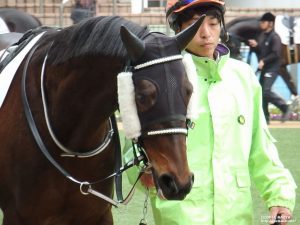 ヤマニンレナータ