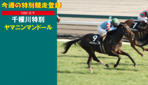 今週の特別競走登録・ヤマニンマンドール