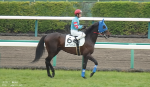 本馬場入場するヤマニンゼーレ