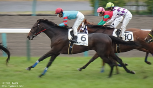 ゴール前のヤマニンゼーレ