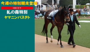 今週の特別競走登録・ヤマニンバステト