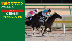 今週のヤマニン・ヤマニンシャンデル