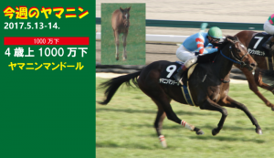 今週のヤマニン･ヤマニンマンドール