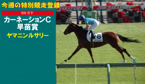 今週の特別競走登録･ヤマニンルサリー