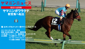 登録抹消･迎春Sのヤマニンボワラクテ