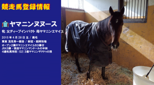 競走馬登録・ヤマニンヌヌース