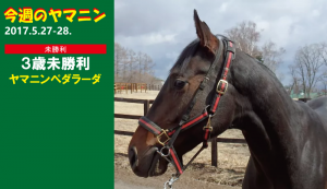 今週のヤマニン･ヤマニンペダラーダ