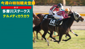 今週の特別競走登録・テルメディカラカラ