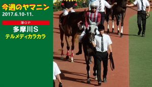 今週のヤマニン・テルメディカラカラ